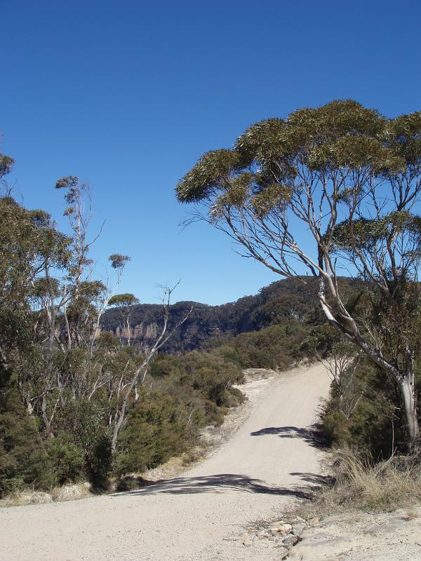Pathway with Green Trees and Grasses on Sides at Beautiful Narrow Neck in Australia. Captured on Blue Sky Background.