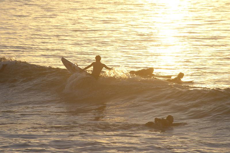 Surfers surfing at sunset during golden hour in a calm ocean cresting a small wave in silhouette
