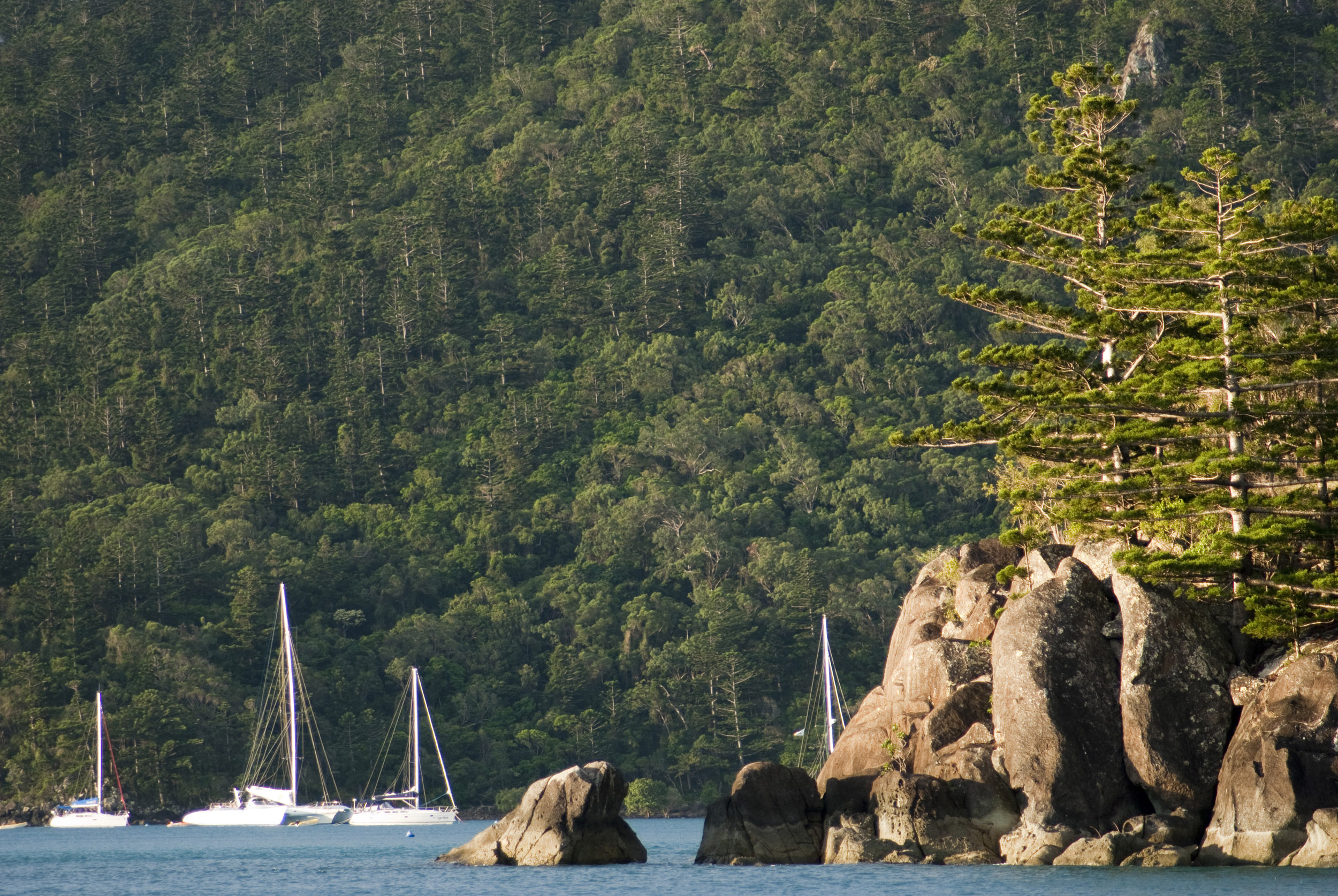 an image of Yachts moored in a protected harbour surrounded by beautiful coastline and lush, rainforest covered mountains in the Whitsunday Islands, Australia.