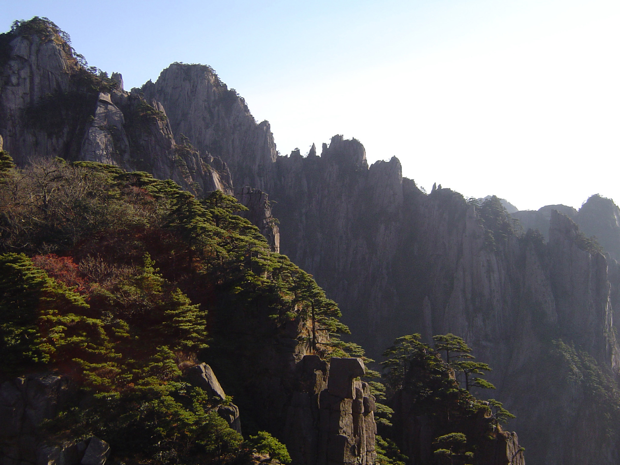 an image of Famous Yellow Mountains Vista with Green Trees at Mount Huangshan China. Captured in Extensive View.