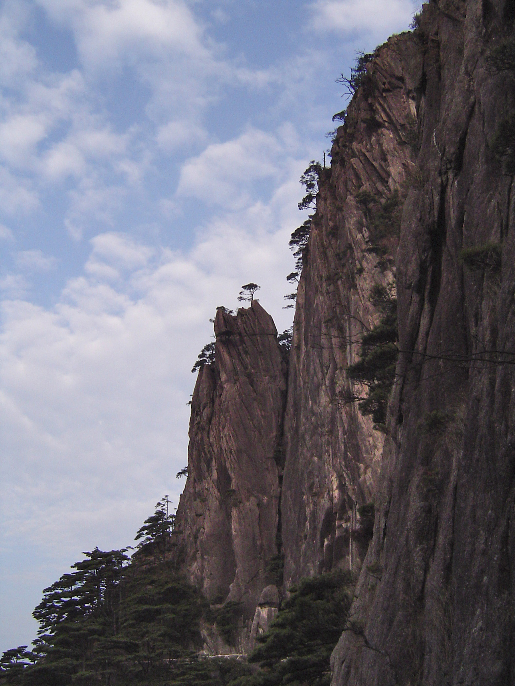 an image of Vista of Famous Beautiful Yellow Mountains with Growing Trees Located in China