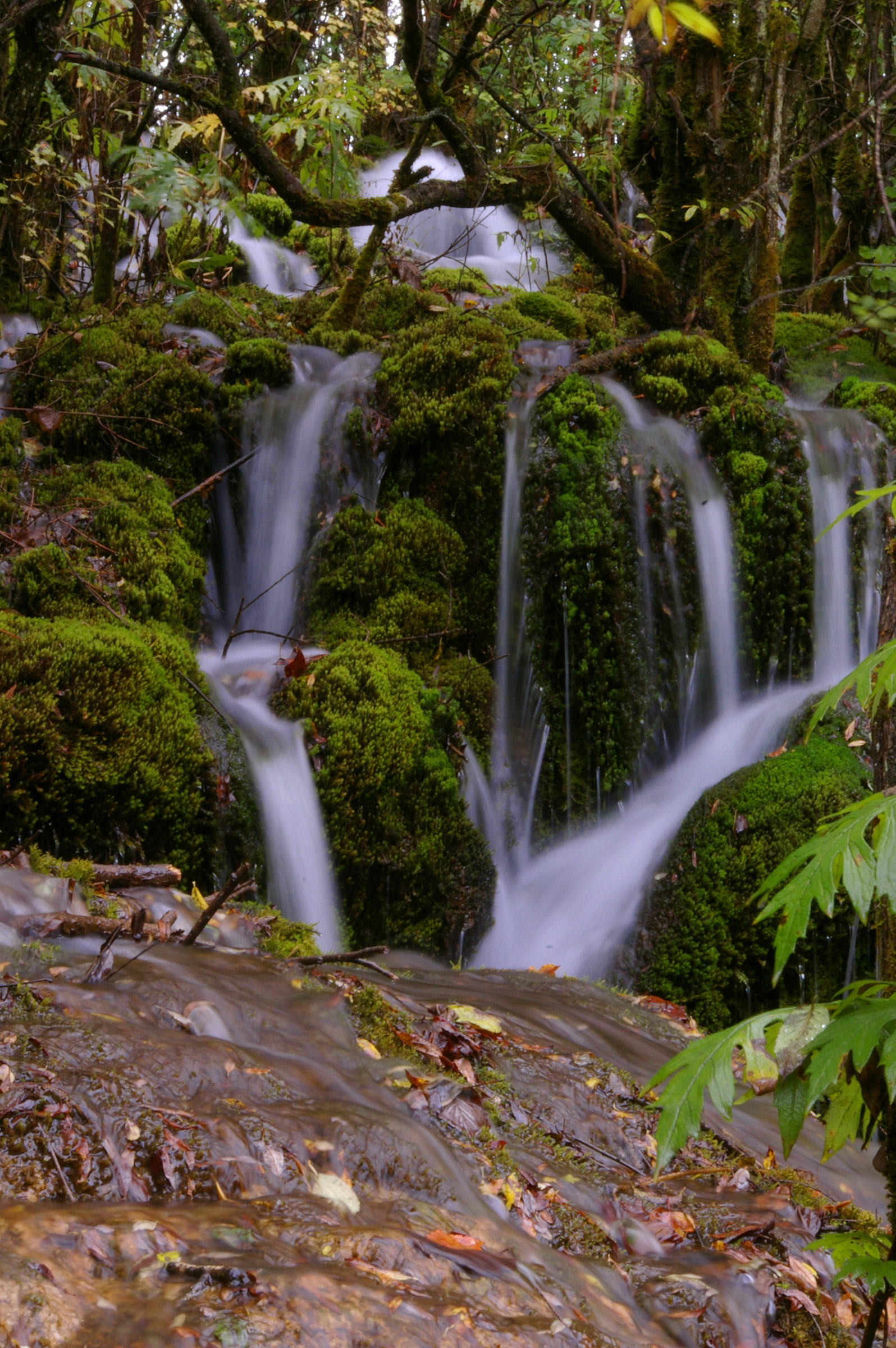 an image of Long exposure with silky white water of several waterfalls flowing over mossy rocks in a scene of natural beauty