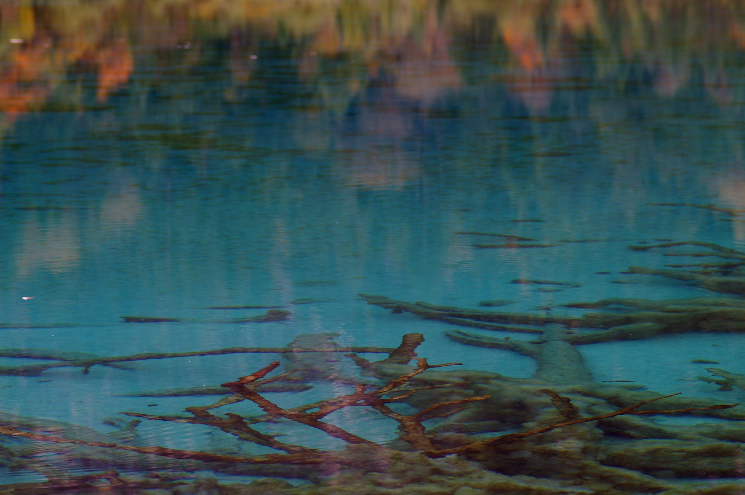 an image of Autumn reflection in still water of colorful autumnal or fall foliage marking the changing of the seasons