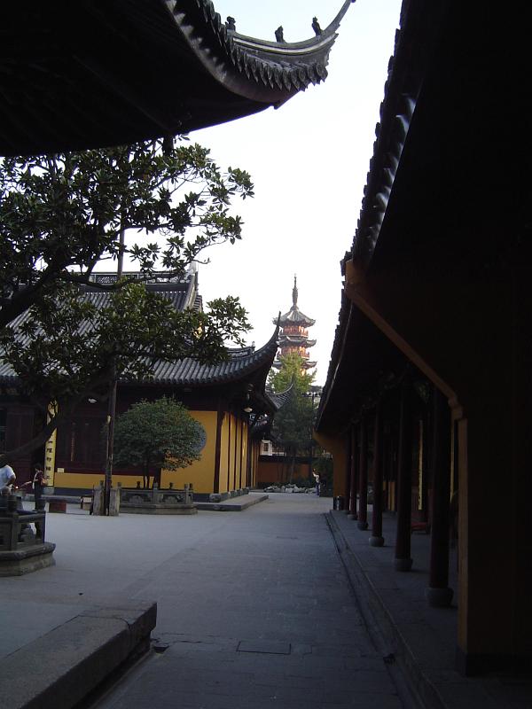 Historic Artistic Chinese Temple Buildings with Tall Green Trees Outside.