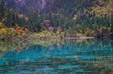 Beautiful natural Attraction of Cyan Blue Lake and Colorful Plants and Trees Located in China.