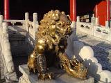 Close up Vintage Golden Qing-era Guardian Lion at Famous Forbidden City in Beijing, China.