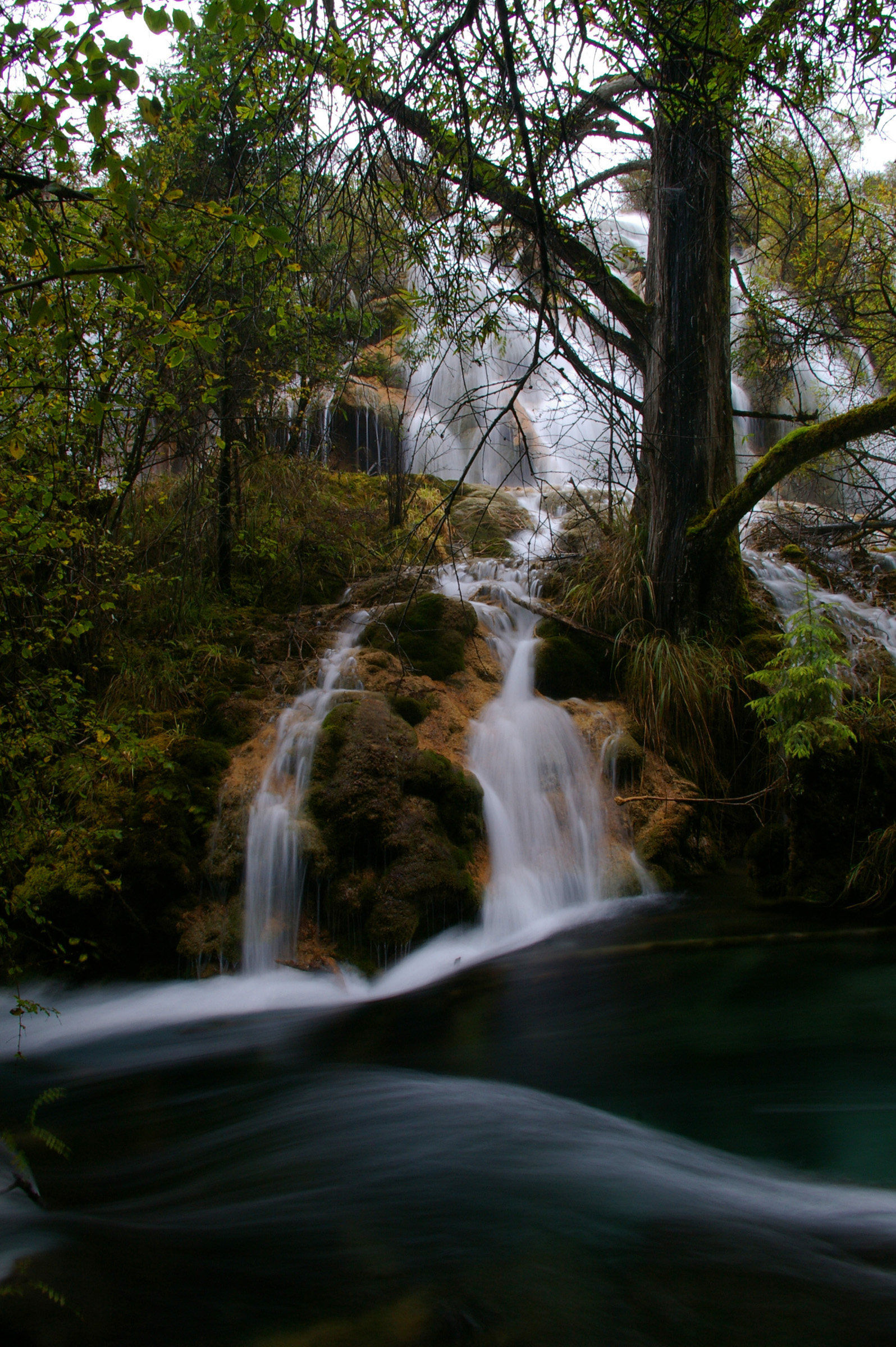 an image of Beautiful Natural Waterfalls Attraction, Rocks with Green Plants and Trees in China