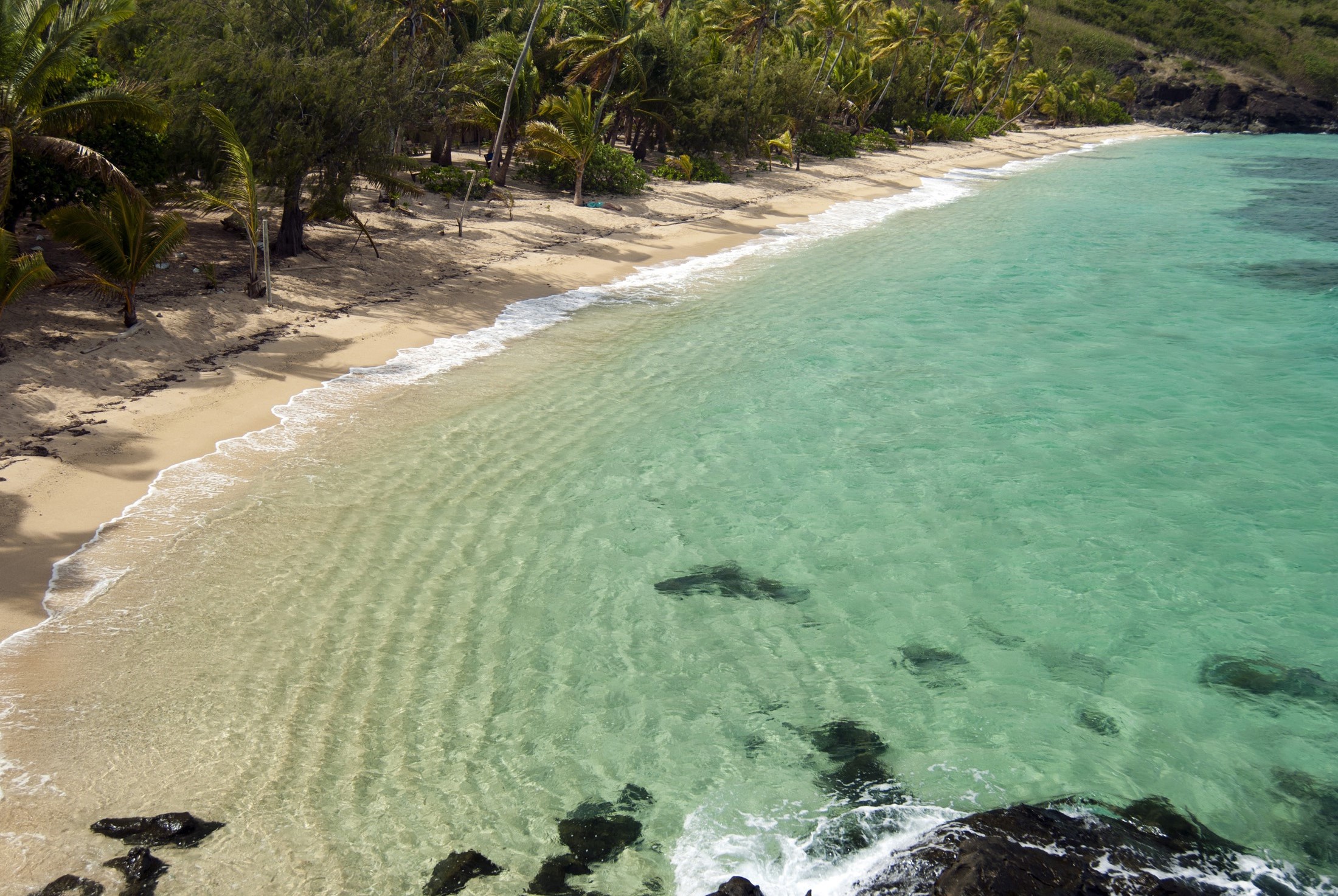 an image of Looking down into a sandy coastal bay with lush vegetation and clear sparkling blue tropical water
