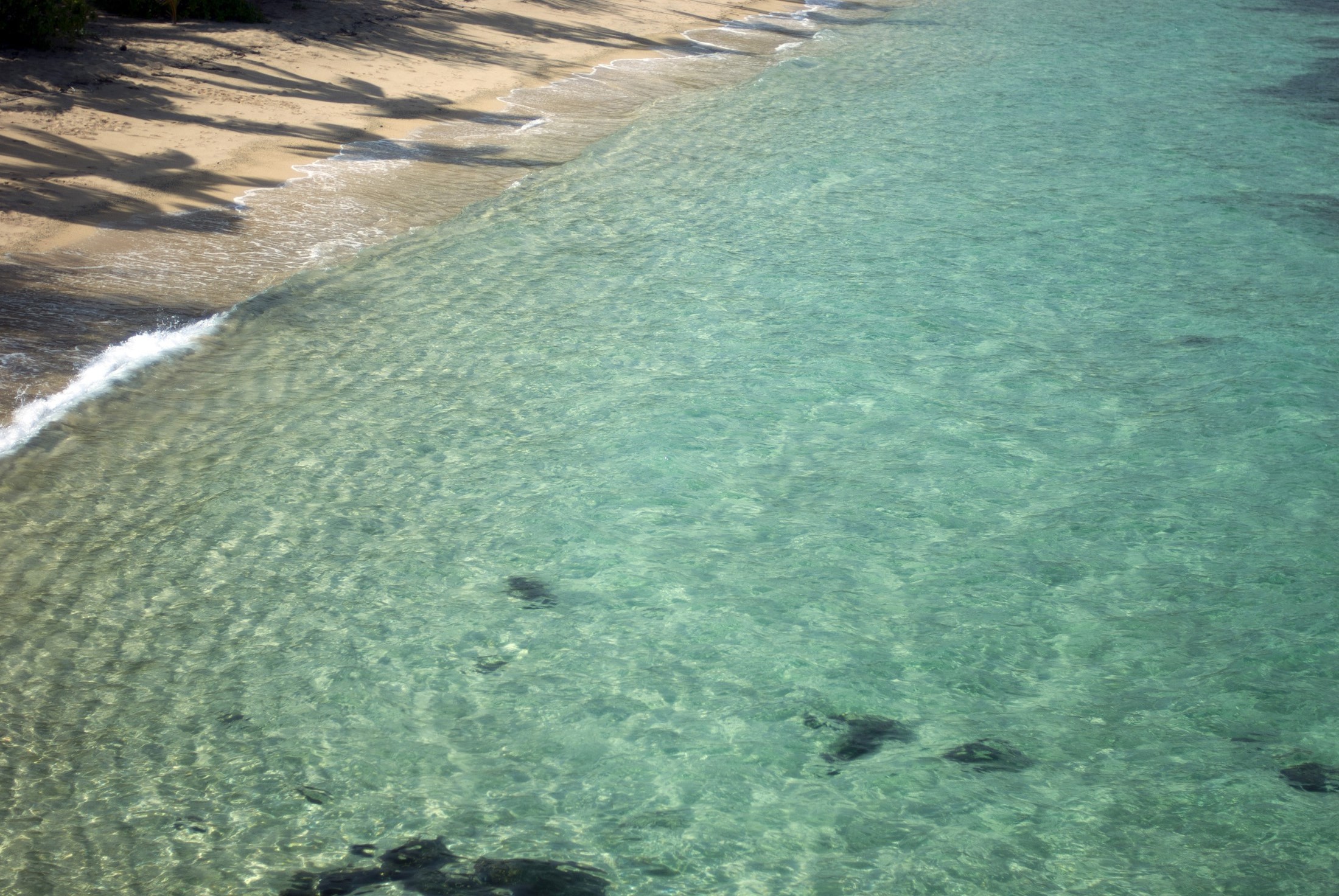 an image of High angle view of a secluded peaceful sandy beach and bay with a beautiful clear sparkling tropical sea