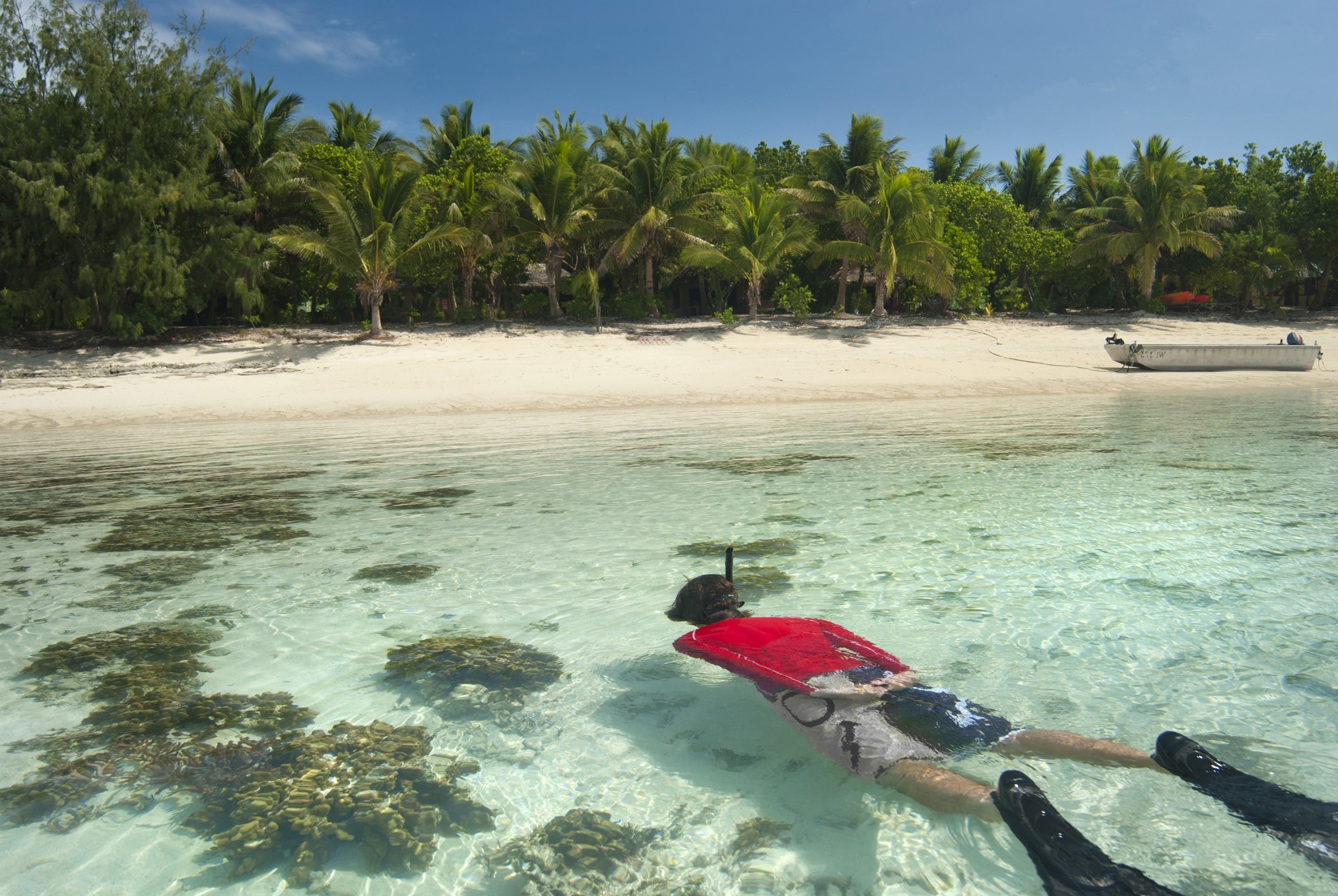 Free Stock photo of Man snorkeling off a tropical island Photoeverywhere