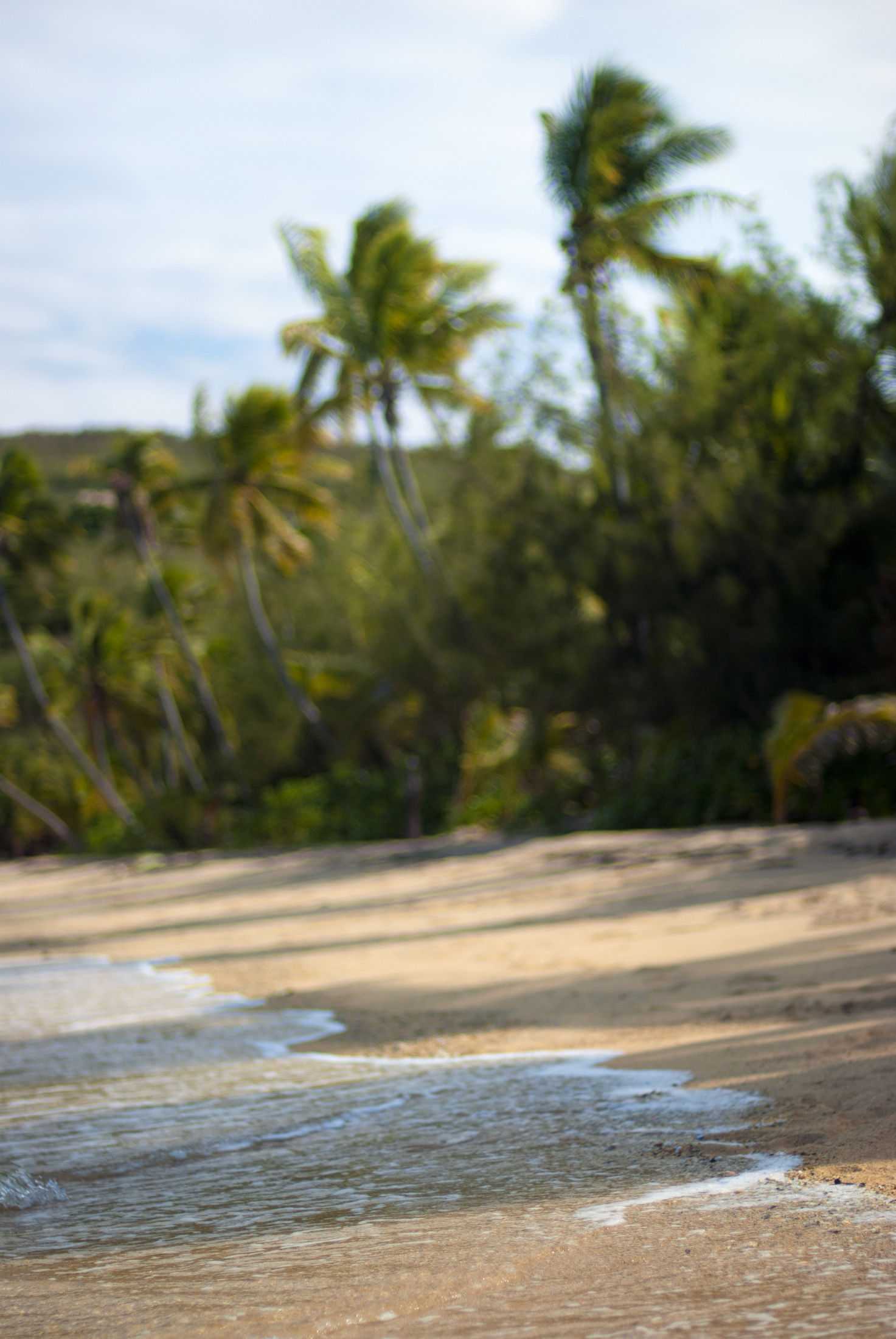 an image of Gentle surf on a Fijian beach with golden sand and fringed with tropical palm trees