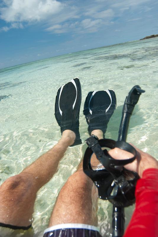 Cropped view of a man floating in crystal clear tropical water wearing flippers with a snork and goggles in his hand