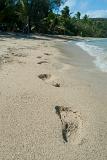 Footprints on a tropical beach leading away along the line of surf with nobody in sight