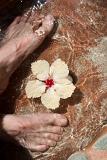 Looking down at a mans feet in a natural rocky Fijian foot bath with a floating hibiscus flower