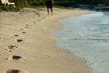Man disappearing into the distance walking on a sandy beach close to the sea with footprints and shallow dof