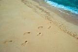 Footprints leading out of the sea across the golden sandy beach conceptual of a summer vacation in the tropics