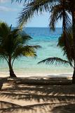 Beautiful natural background of a tropical beach shaded by palms against a clear blue tropical ocean