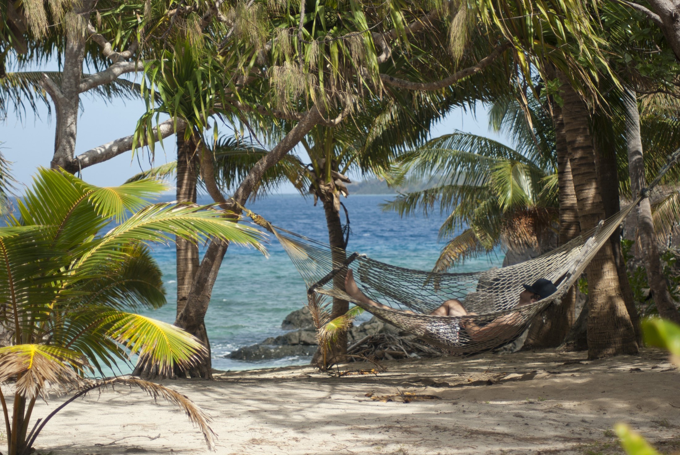 an image of Relaxing in a hammock slung between two palm trees overlooking an idyllic tropical beach and ocean