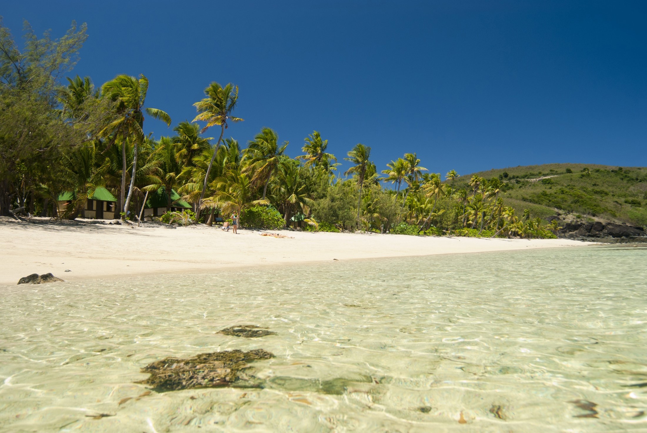 an image of Crystal clear seawater at a tropical beach with golden sands and fringe of palm trees against blue sky