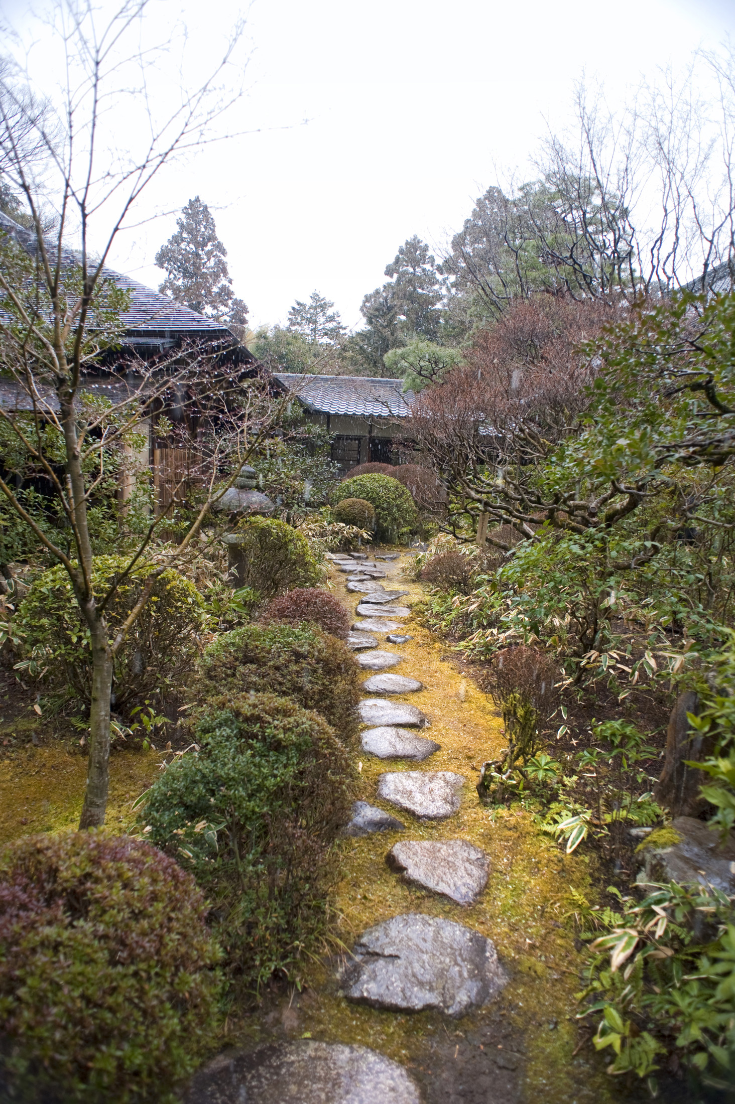 an image of Steppings stone path through the gardens of KoÂtoÂ-in sub temple of Daitoku-ji in  Kyoto, Japan
