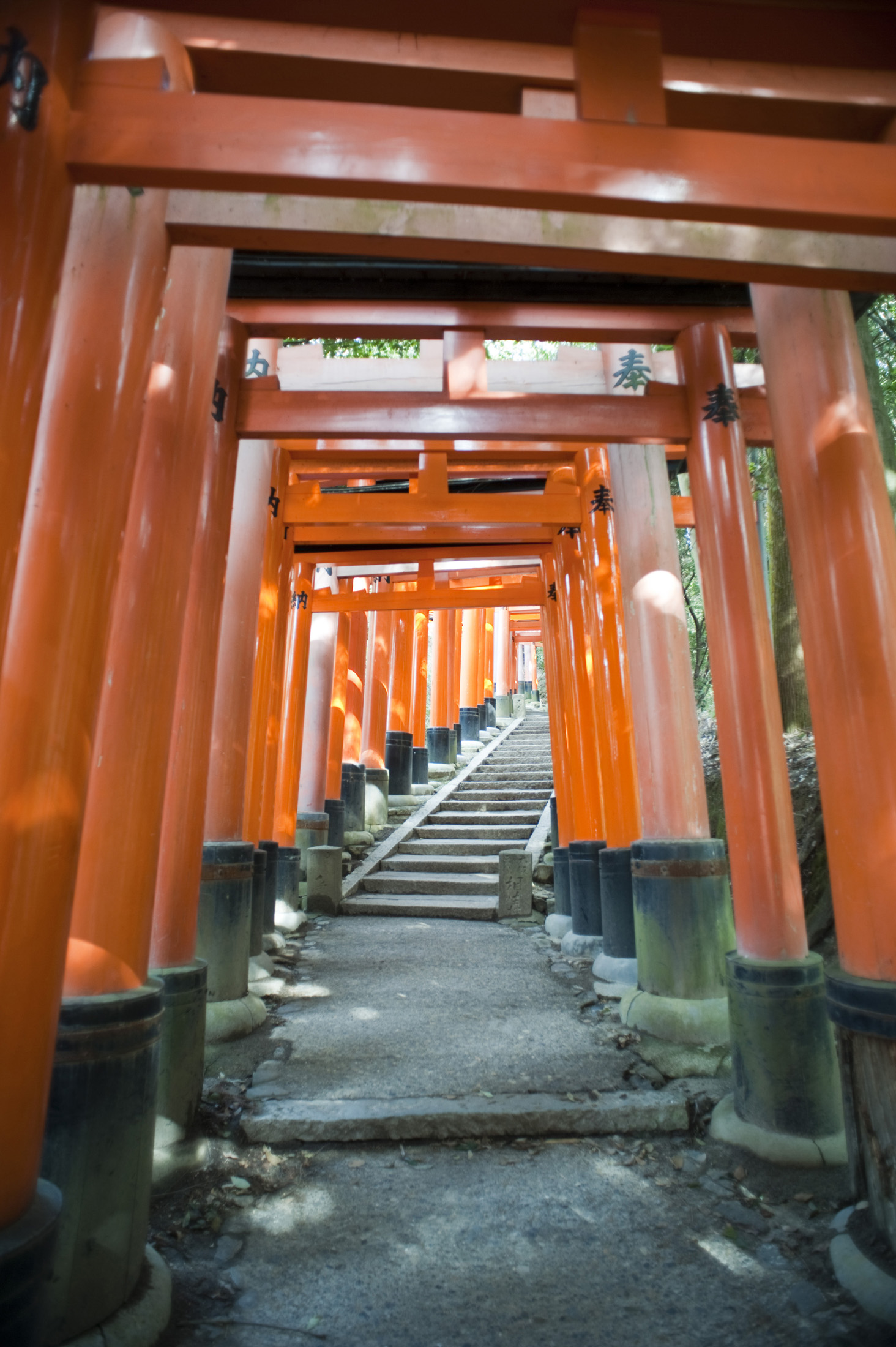 an image of lines of torri gates donated by locals at the Fushimi Inari-taisha, an Inari shrine in Kyoto, Japan