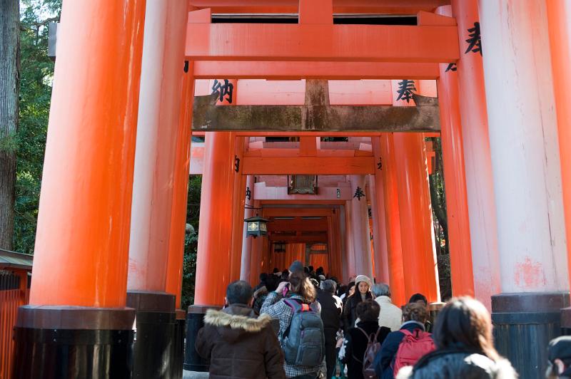 a tunnel of torii gates at the Fushimi Inari-taisha shrine