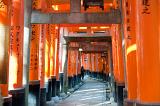 a long tunnel of torii gates at the Fushimi Inari-taisha shrine