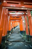 lines of torri gates donated by locals at the Fushimi Inari-taisha, an Inari shrine in Kyoto, Japan