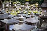 Tachi-doÂroÂ (stone lanterns) of the kasuga-doÂroÂ type located near the Kasuga Taisha Shrine complex, Nara, Japan