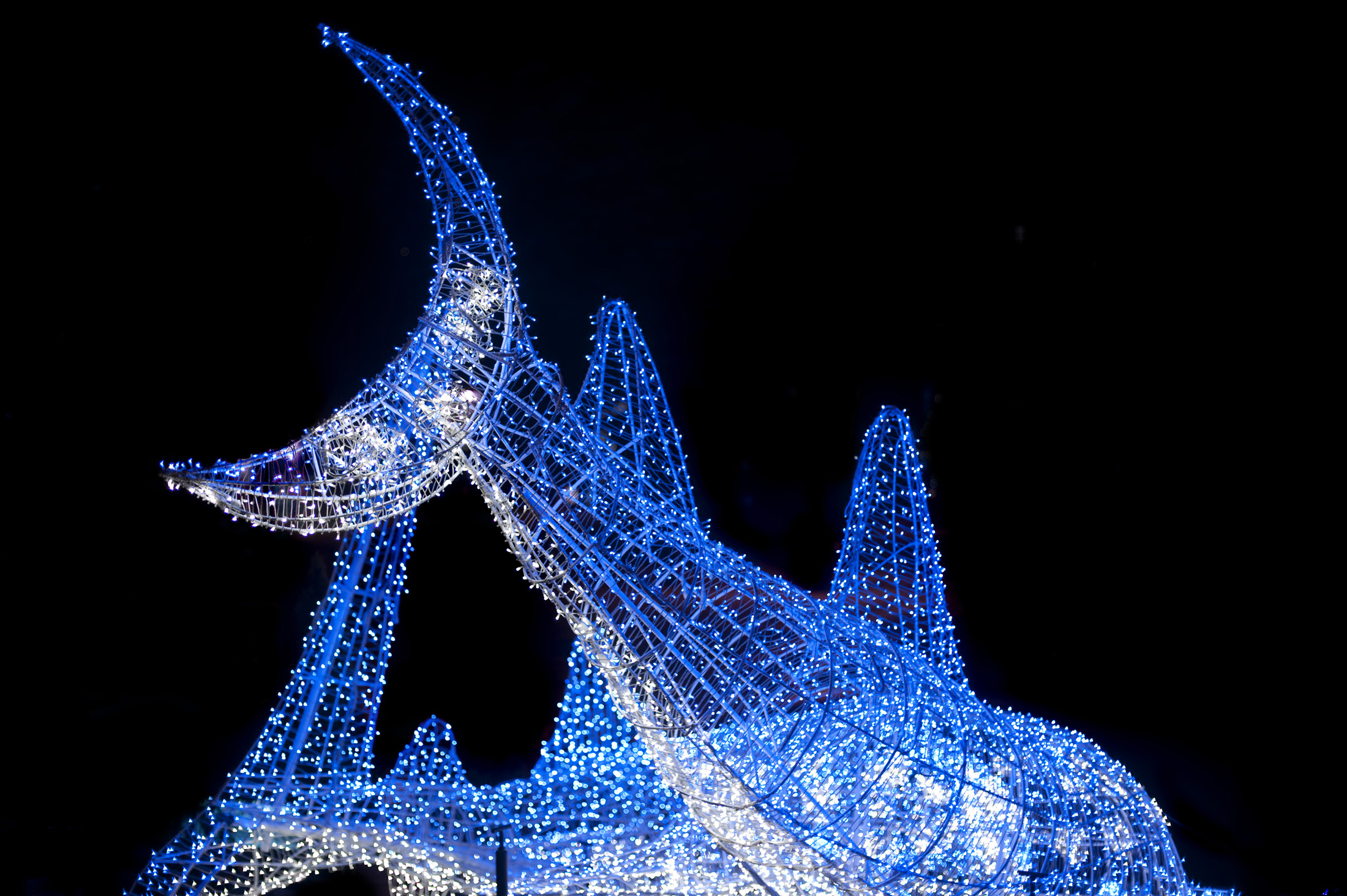 an image of Blue illuminated shark sculpture outside Osaka aquarium