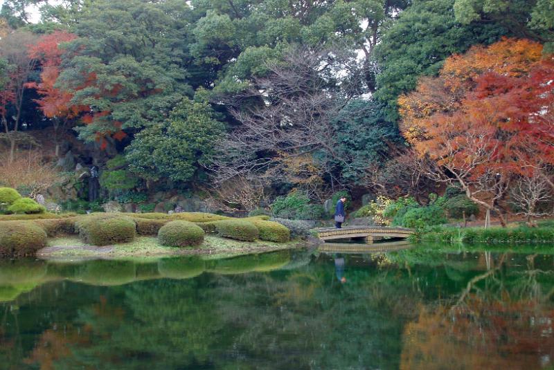 ornate japanese style gardens in a tokyo park including a reflecting lake