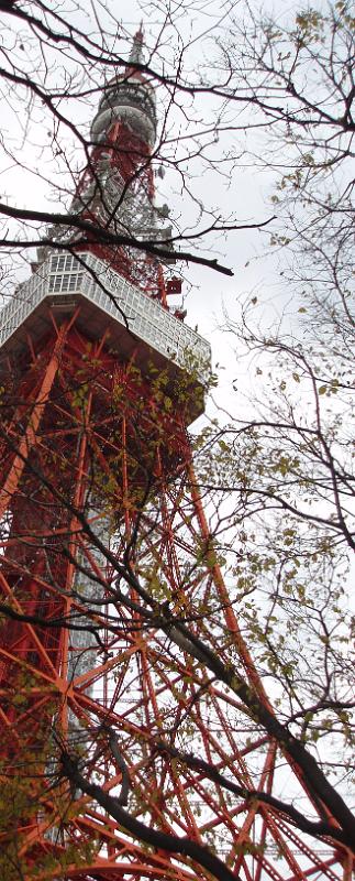 a view of the tokyo tv tower through the trees
