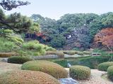 picturesque ornamental japanese garden and pond