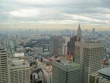 view from the tokyo metropolitan government building