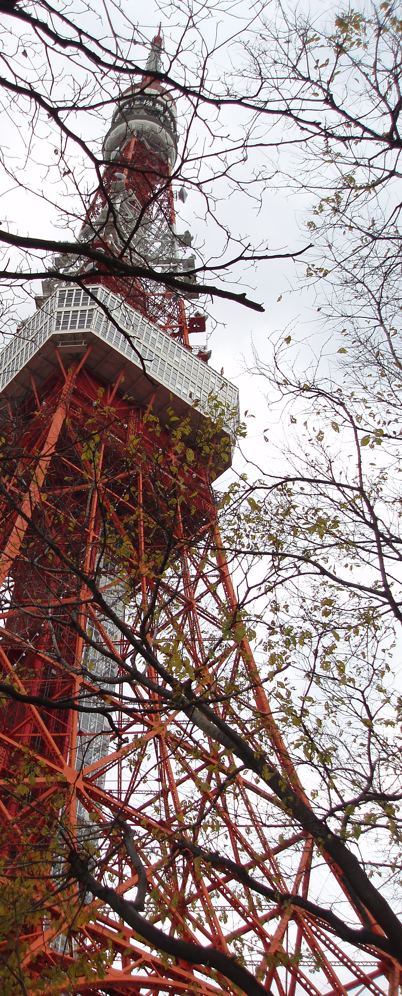 an image of a view of the tokyo tv tower through the trees