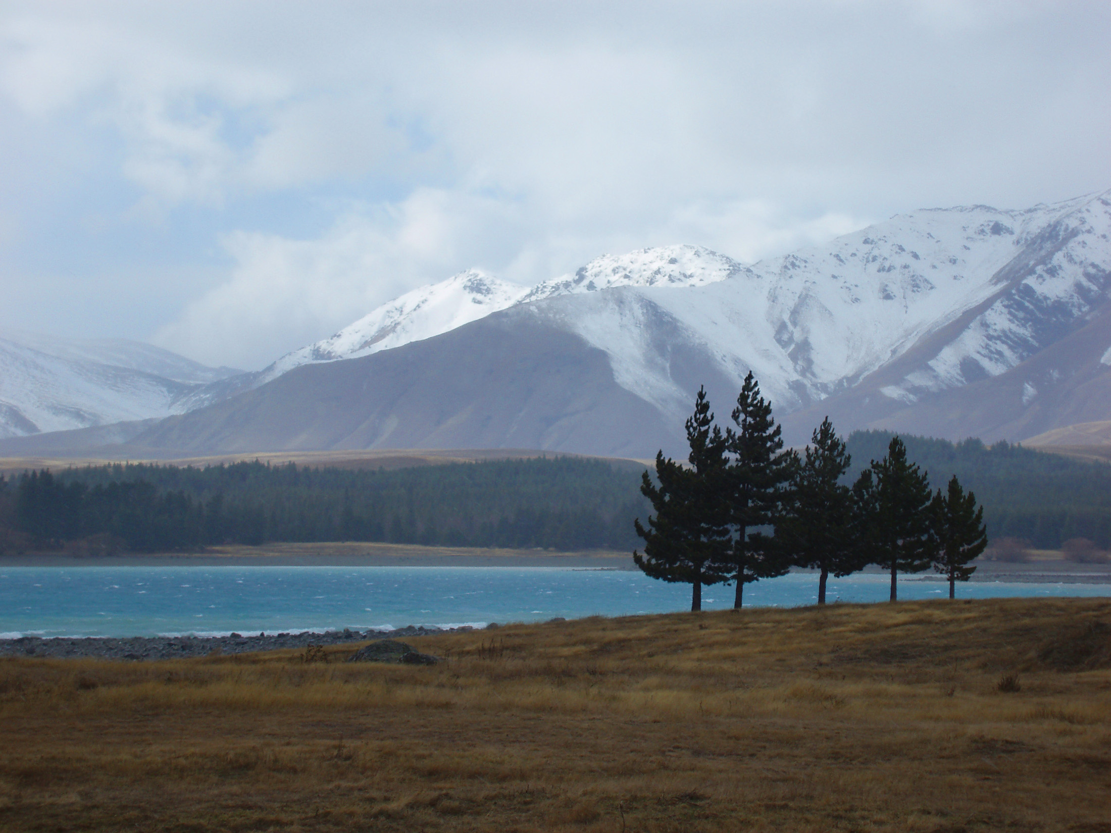 an image of cobalt blue waters of lake pukaki and snow covered mountains