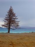 lake pukaki, new zealand, blue glacial waters,