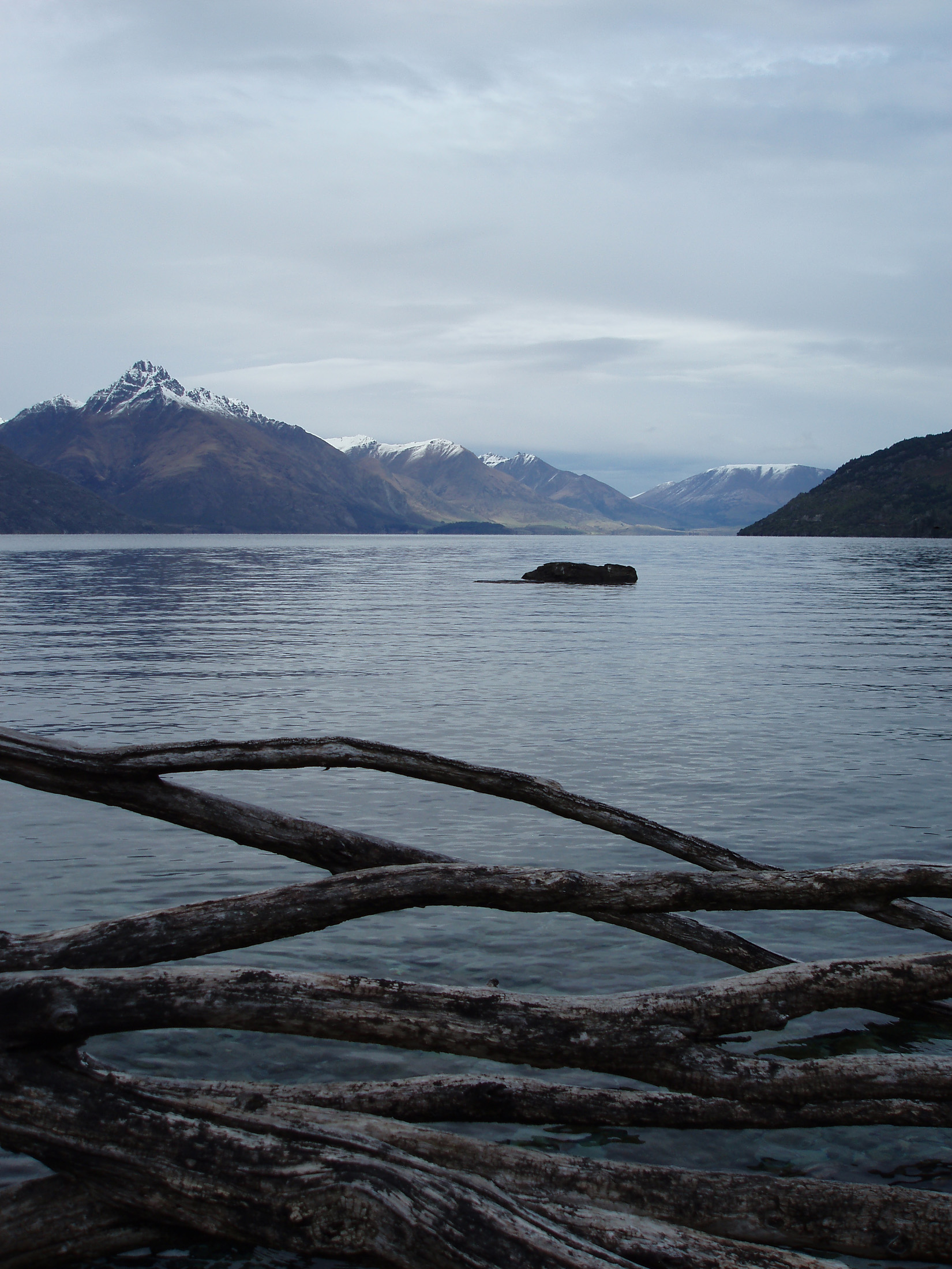 an image of a calm view of lake wakatipu and distance mountains iwth driftwood in the foreground