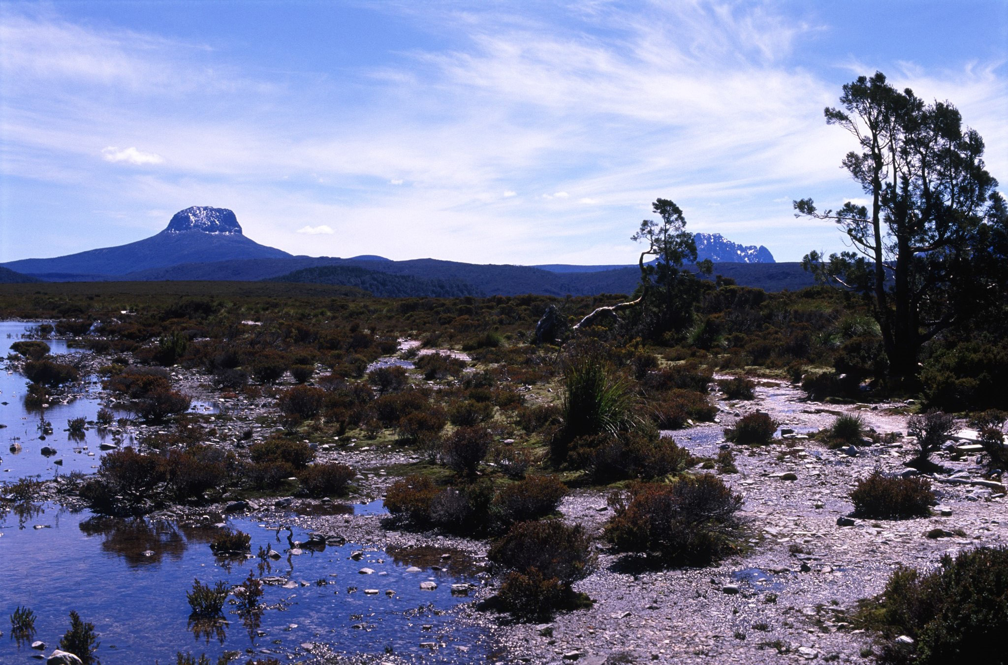 an image of Reflections in the water flats and marshes in Tasmania on the Overland Trail with a distant view of Barn Bluff