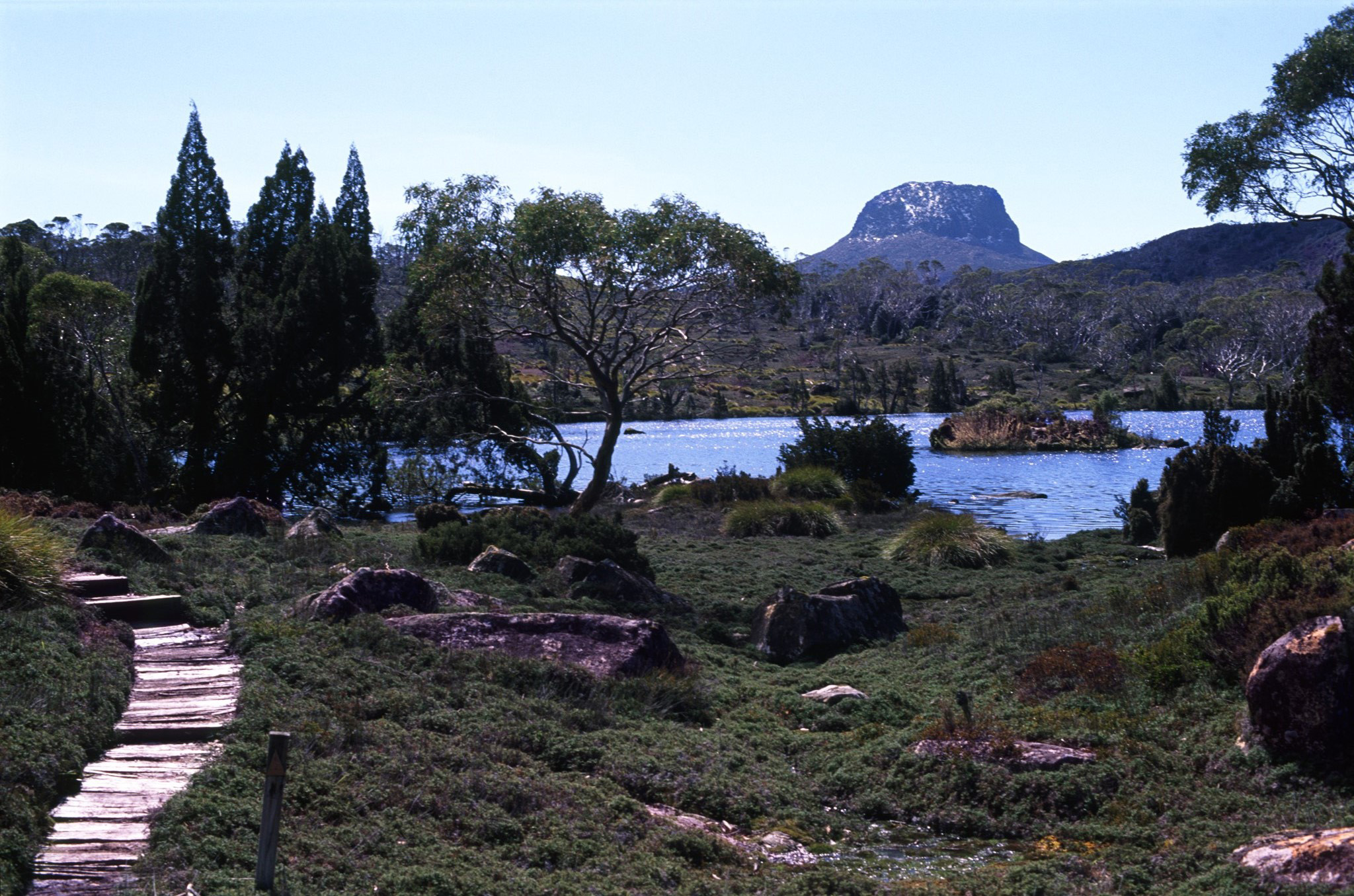an image of Boardwalk on the Grassy Landscape Along Lake Windermere in Tasmania.