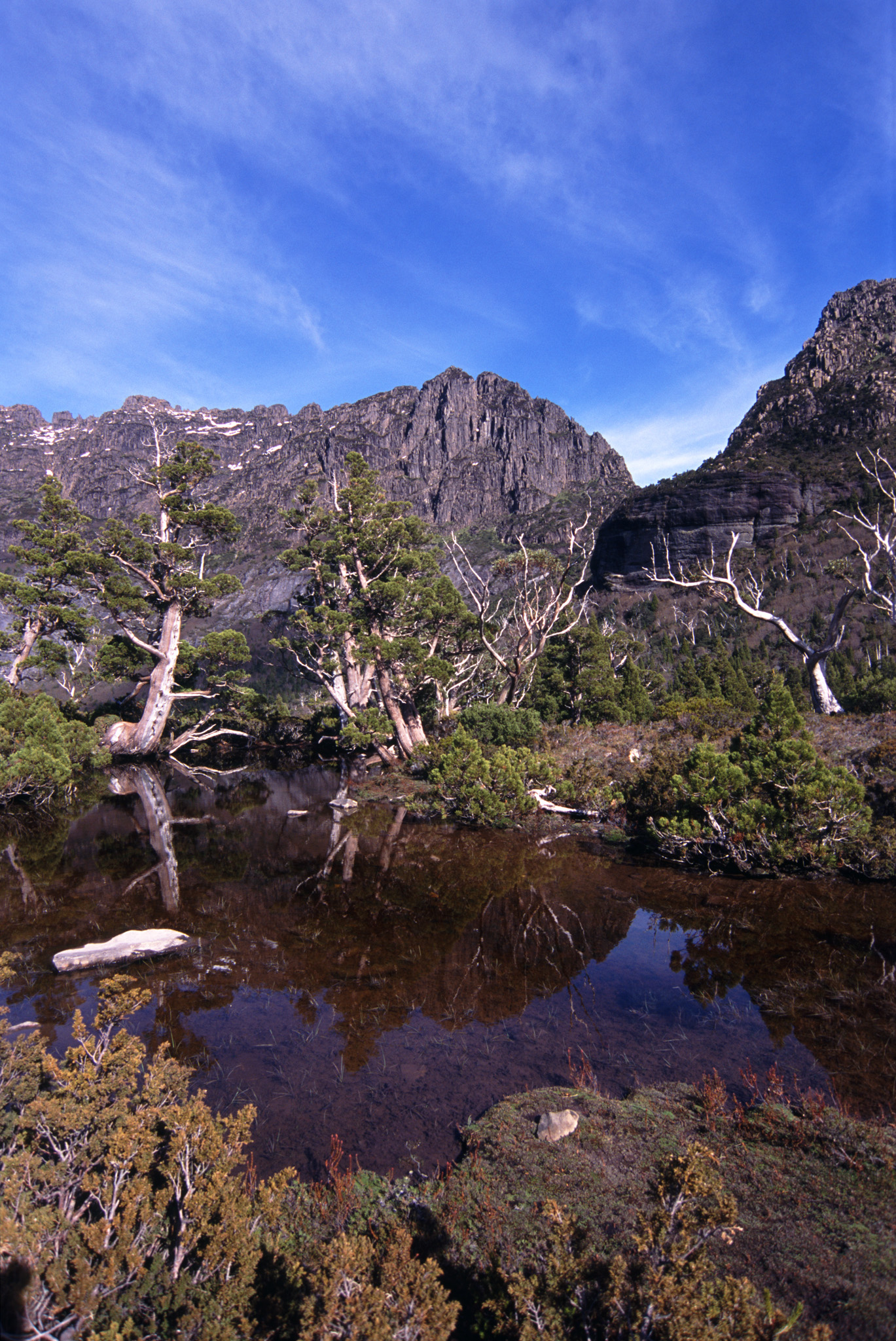 an image of Tranquil mountain lake, Tasmania reflecting the surrounding trees with a backdrop of high mountain peaks
