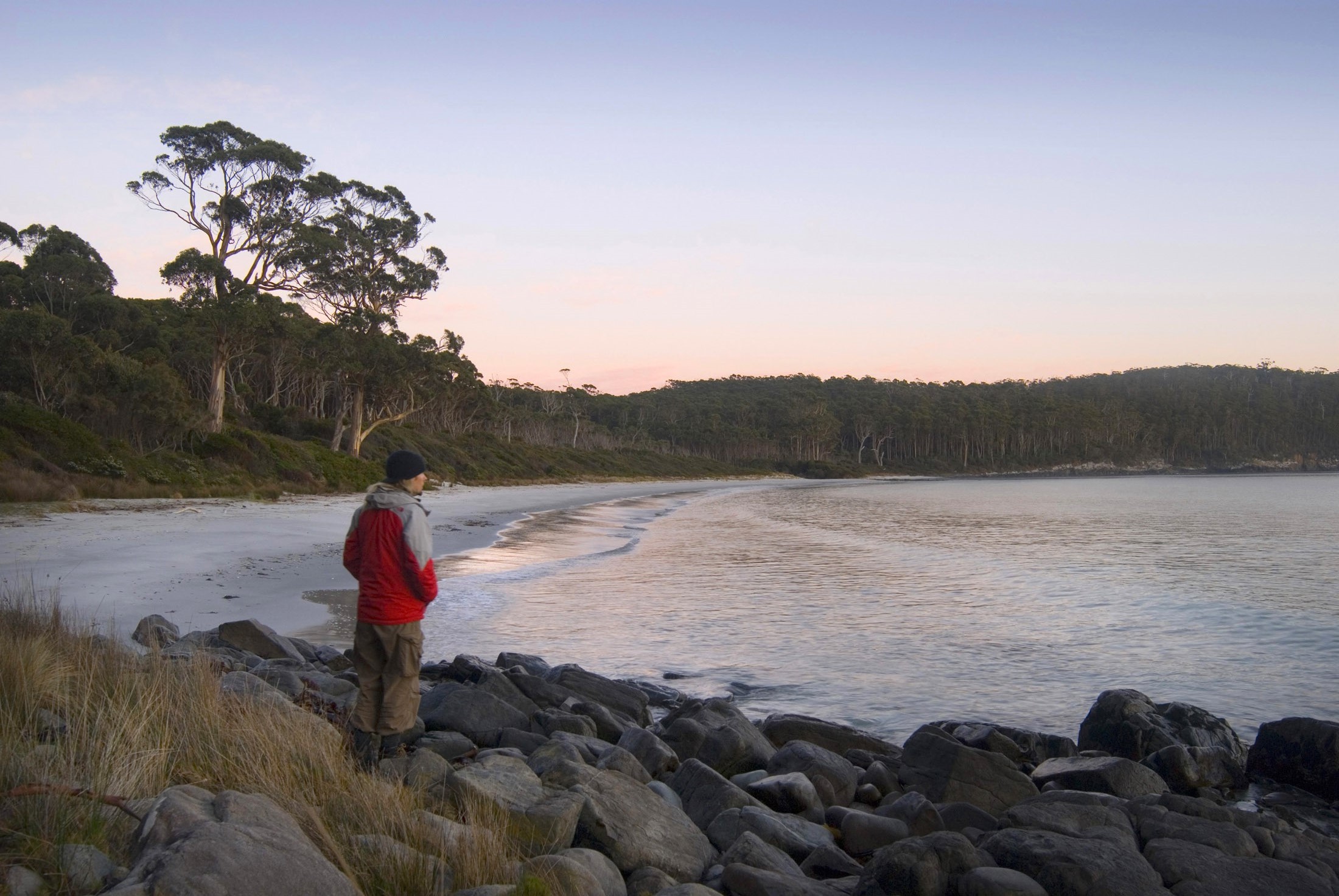 an image of looking out at the sunrise over fortescue bay, tasman peninsula