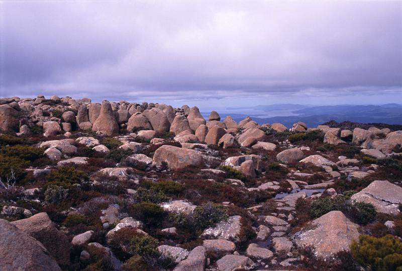 Plenty of Old Dolerite Boulders at Famous Mount Wellington in Tasmania, Australia.