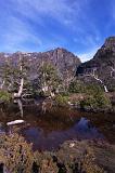 Tranquil mountain lake, Tasmania reflecting the surrounding trees with a backdrop of high mountain peaks
