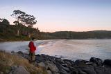 looking out at the sunrise over fortescue bay, tasman peninsula