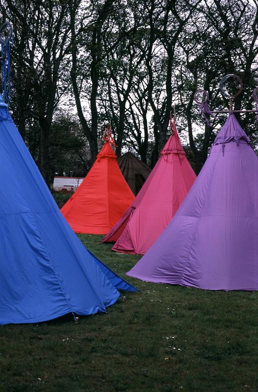 Four Colorful Tents of Blue, Red, Pink, and Purple Set Up in Grassy Clearing