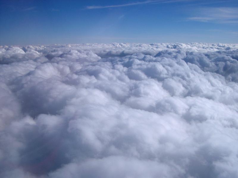 View from an aircraft above a dense layer of white fluffy clouds to clear blue sky overhead