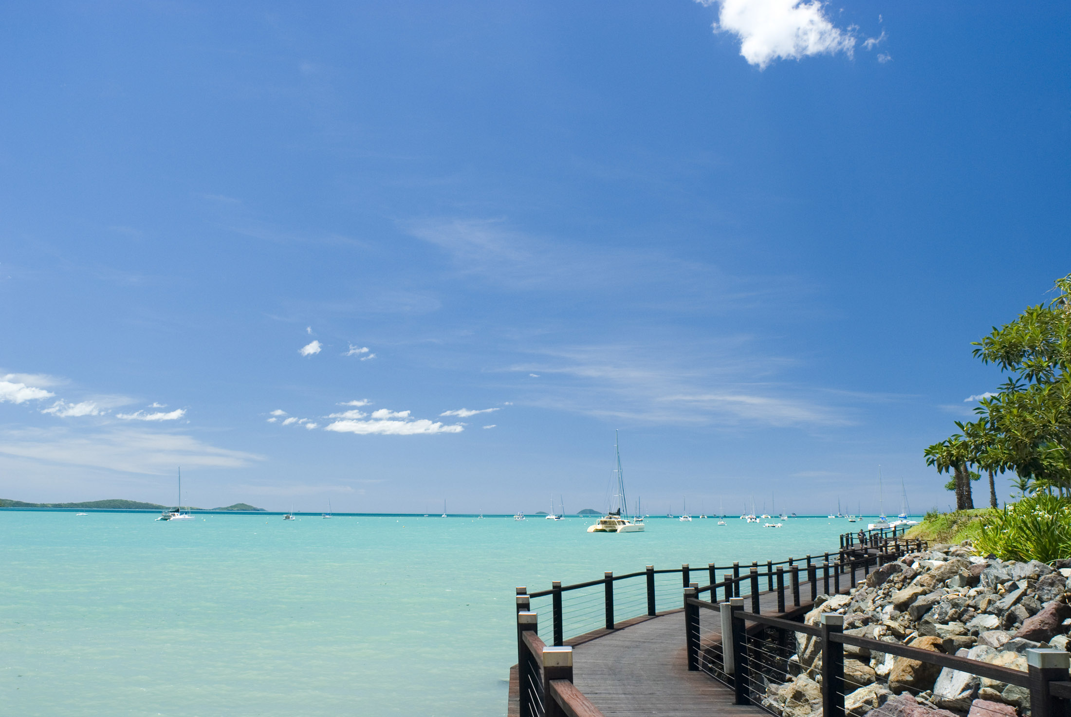 an image of sailing yachts and catamarans in tropical australian waters
