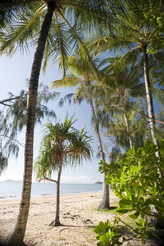 looking out from lush tropical vegetation to a sandy beach and warm tropical waters beyond