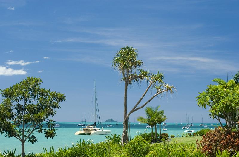 pandanus and other tropical plants on the coast boardering a beautiful blue cyan tropical sea